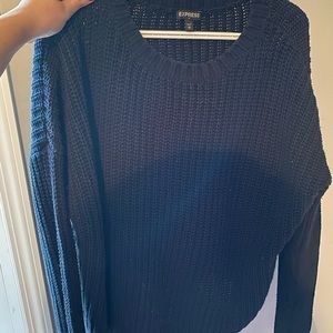 Express oversized sweater